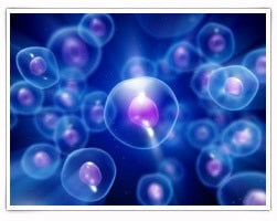 Why Negative Ions in Your Shower are Good for You