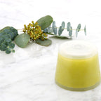 Wall Mounted Vitamin C Cartridge- Eucalyptus