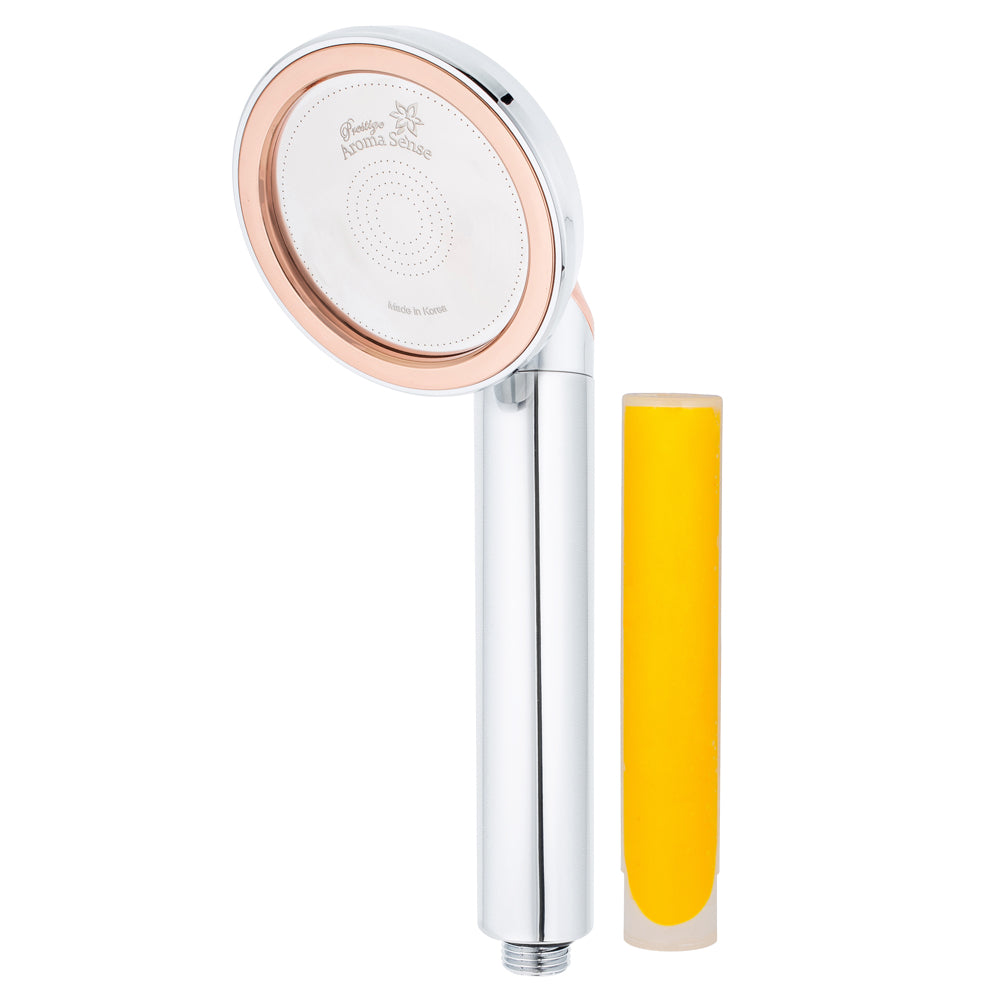 Prestige Handheld Shower Head and Vitamin C Cartridge