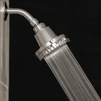 Wall Fixture Shower Head