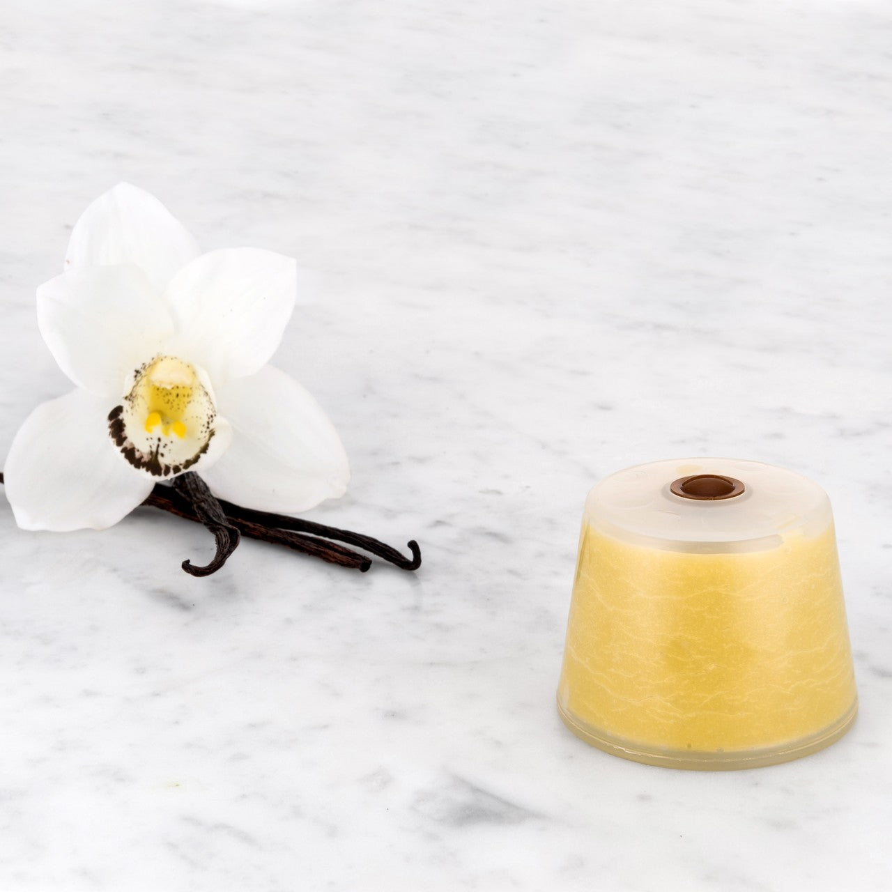 Wall Fixture and Vitamin C Cartridge